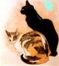 老花猫理论