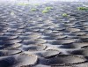 火山灰里的春天