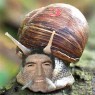 留学人生感怀